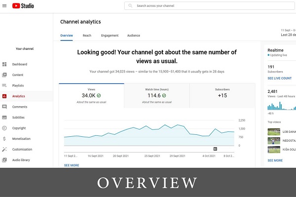 youtube-analytics-overview